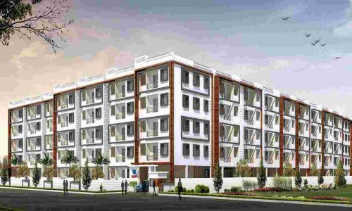 1661515438-DSR White waters-compressed