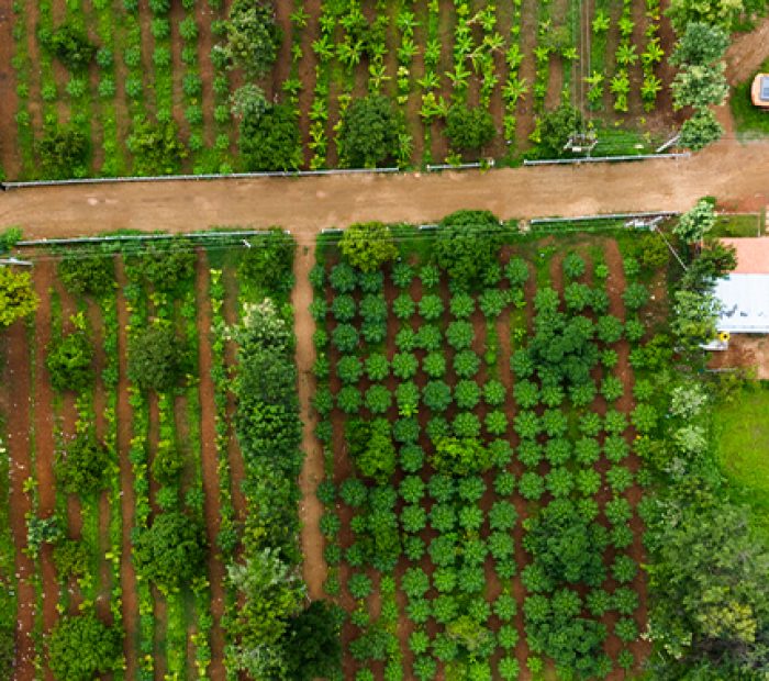 66d8d3e96535c58d6add2d0d_Artboard 2 66d8d3e96535c58d6add2d0d_Artboard 2