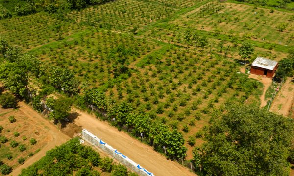 66d8d3e9ed2845de1a42a272_Artboard 4