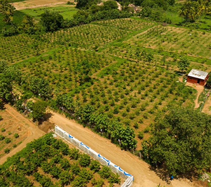 66d8d3e9ed2845de1a42a272_Artboard 4 66d8d3e9ed2845de1a42a272_Artboard 4