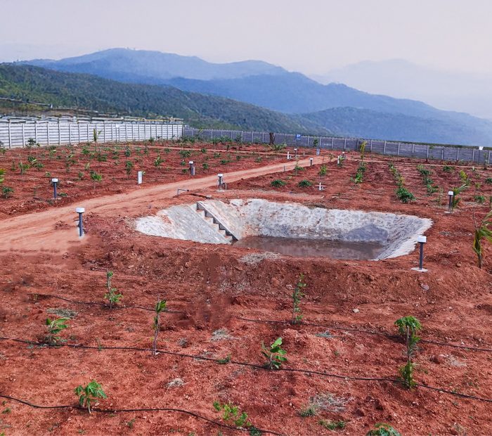 Generative Fill 5 Generative Fill 5