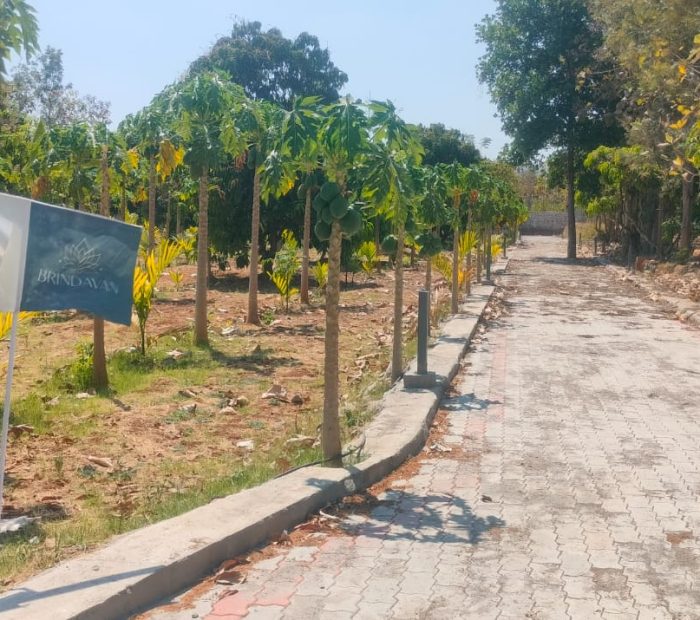 WhatsApp Image 2025-04-04 at 2.22.41 PM WhatsApp Image 2025-04-04 at 2.22.41 PM