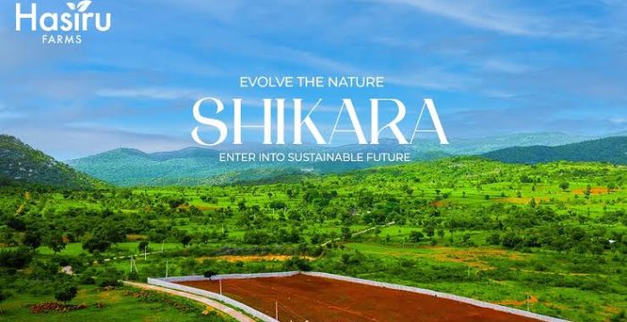 WhatsApp Image 2025-04-07 at 5.34.09 PM