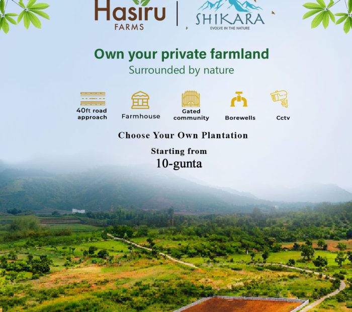 shikara-marketing-1080×1080-4-without-price shikara-marketing-1080x1080-4-without-price